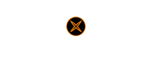 LE POSEUR